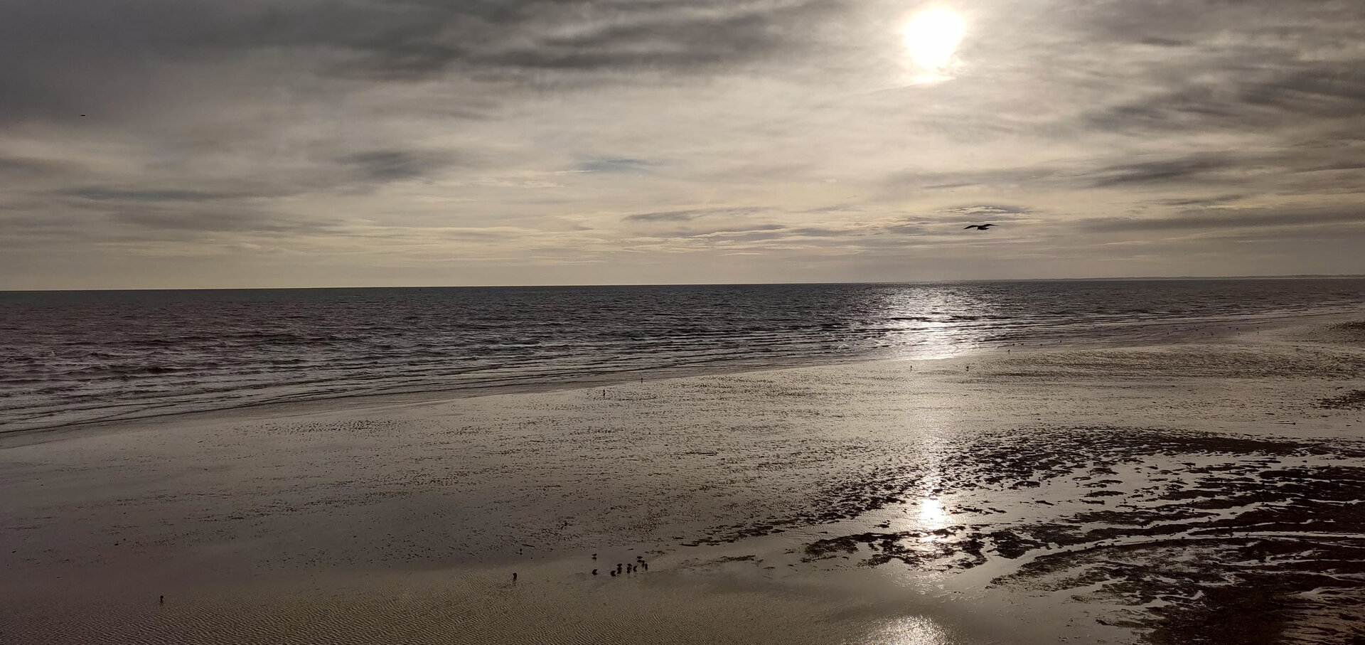 Description for accessibility