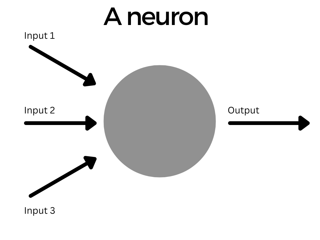 A simple model of a neuron